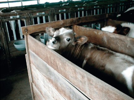 Screen Shot 2015-06-02 at 10.28.42 PM.png